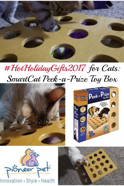 smart cat peek a prize toy box