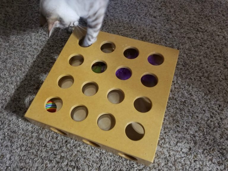 smart cat peek a prize toy box