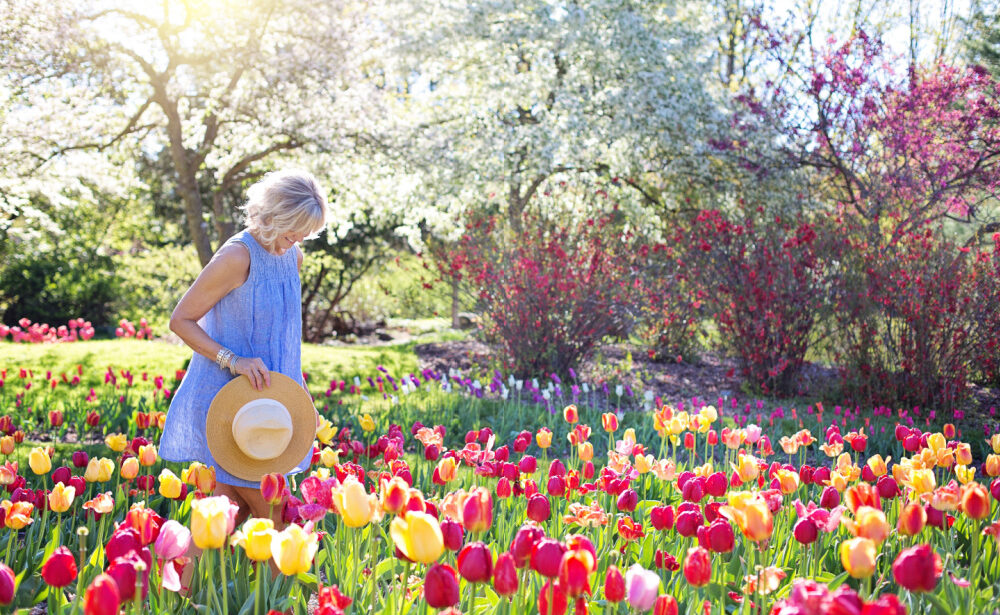 How to Protect Your Garden from Insects & Animals