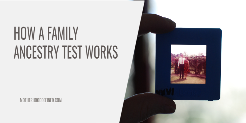How a Family Ancestry Test Works