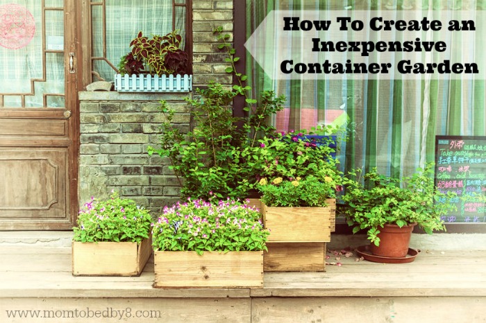 How To Create an Inexpensive Container Garden - Motherhood Defined