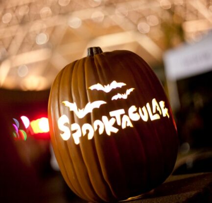 Spooktacular Starts This Weekend at Omaha’s Henry Doorly Zoo and Aquarium