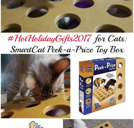 Best Gifts for Cats: SmartCat Peek-a-Prize Toy Box #HotHolidayGifts2017