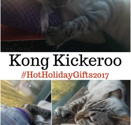 Kong Kickeroo #HotHolidayGifts2017