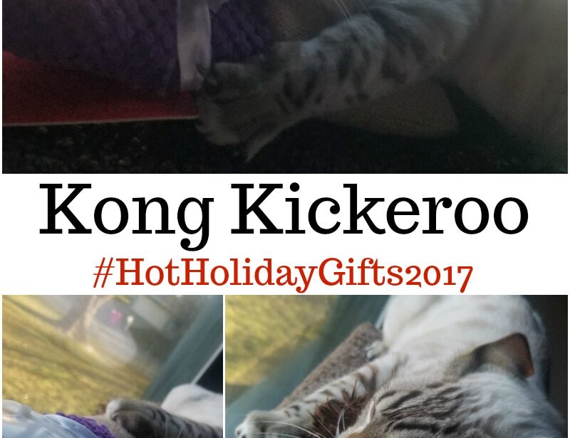 Kong Kickeroo #HotHolidayGifts2017