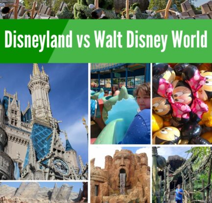 Disneyland in California vs Walt Disney World In Orlando