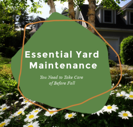 Essential Yard Maintenance You Need to Take Care of Before Fall