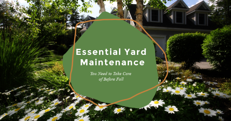 Essential Yard Maintenance You Need to Take Care of Before Fall
