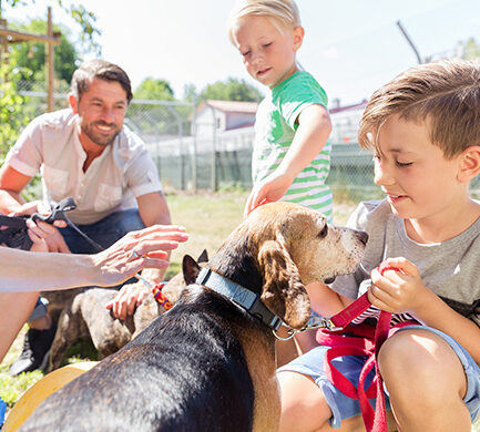 3 Ways Pet Adoption Can Be a Win for All