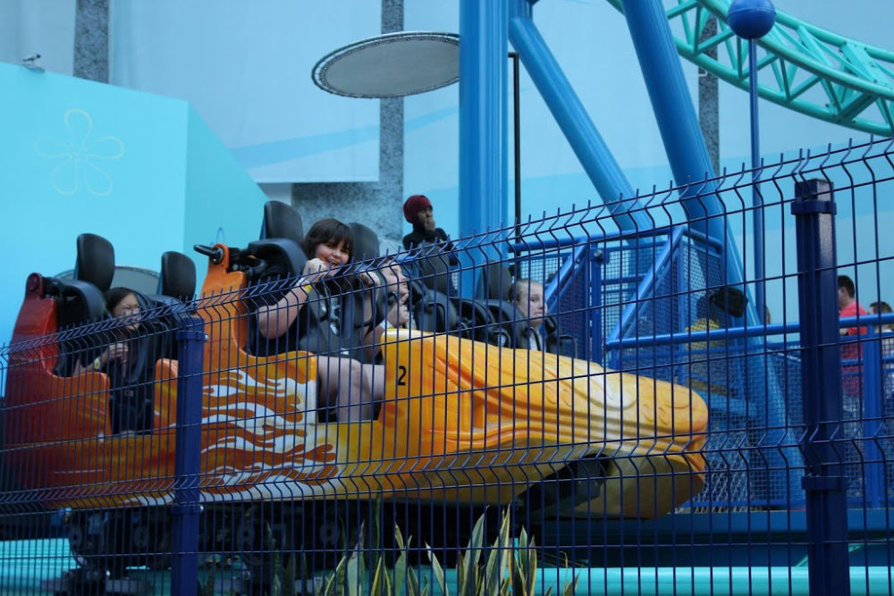 Top 6 Best Theme Parks For Roller Coasters Motherhood Defined