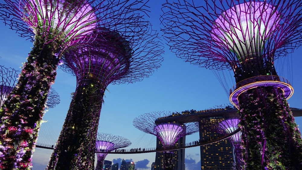 Places in Singapore You Should Visit as Soon as You Get off the Plane