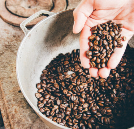 The Journey for Coffee Lovers Plantations You Should See for Yourself