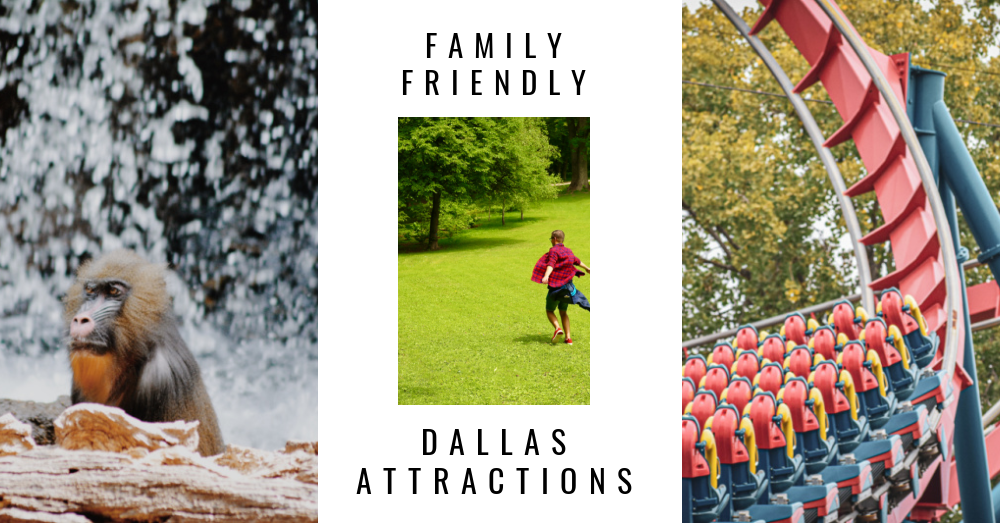 Family Friendly Attractions In Dallas