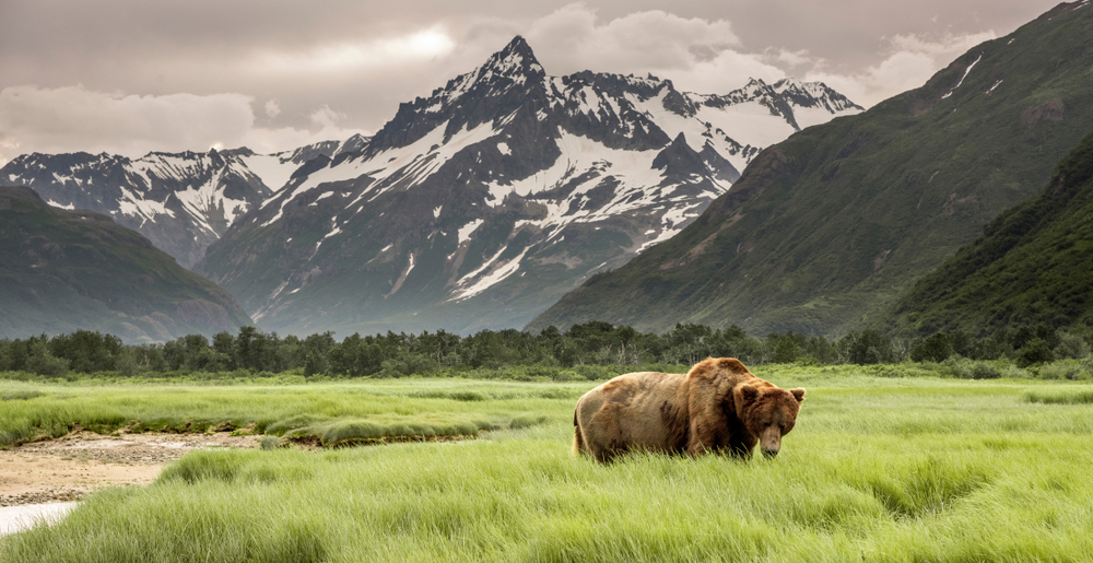 3 Reasons to Visit Alaska on Your Next Group Vacation