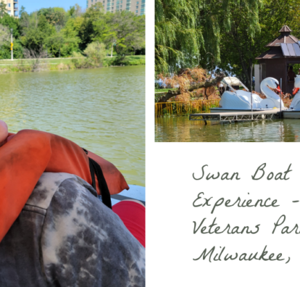 Swan Boat Rental Experience - Veterans Park in Milwaukee, WI
