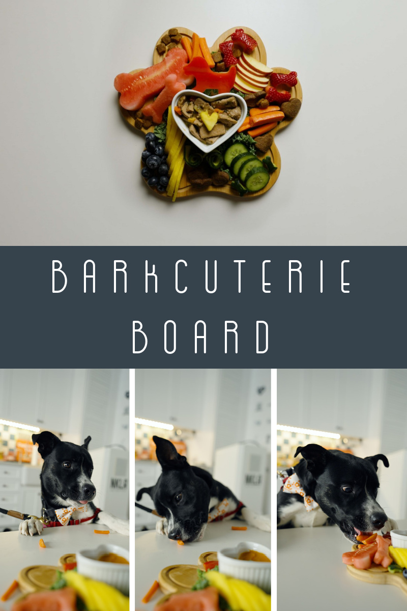 The Perfect Pet Barkcuterie Board for the Holidays 
