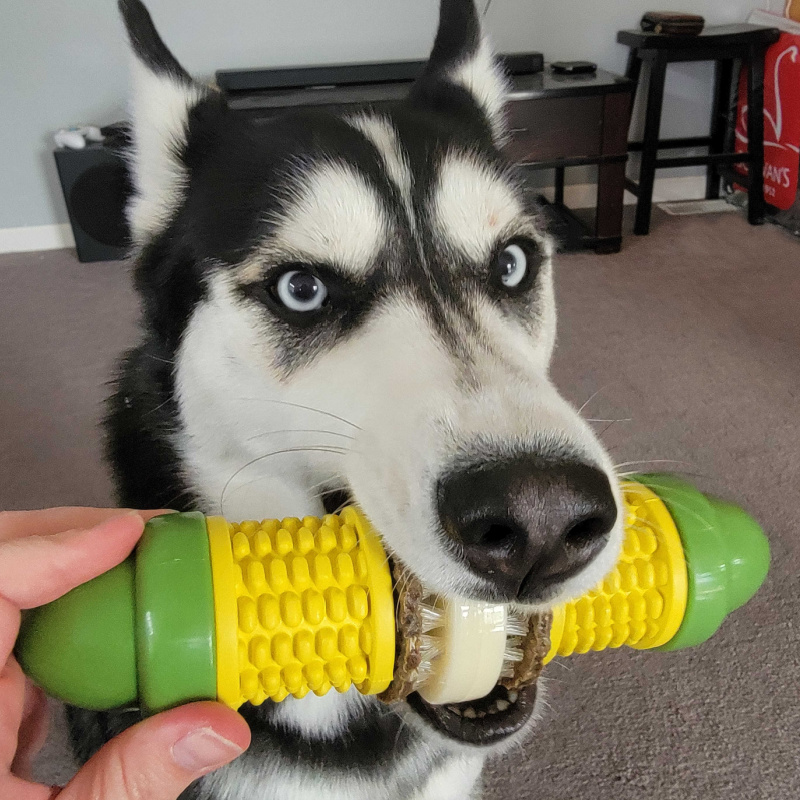PetSafe Busy Buddy Cravin’ Corncob is a Stocking Stuffer Win for Dogs