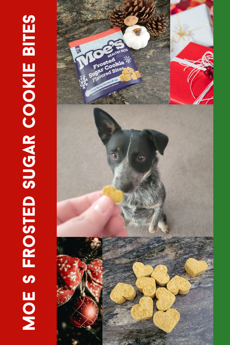 Moe’s Frosted Sugar Cookie Bites Make the Best Stocking Stuffer for Dogs