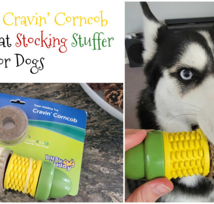 PetSafe Busy Buddy Cravin’ Corncob Makes A Great Stocking Stuffer for Dogs