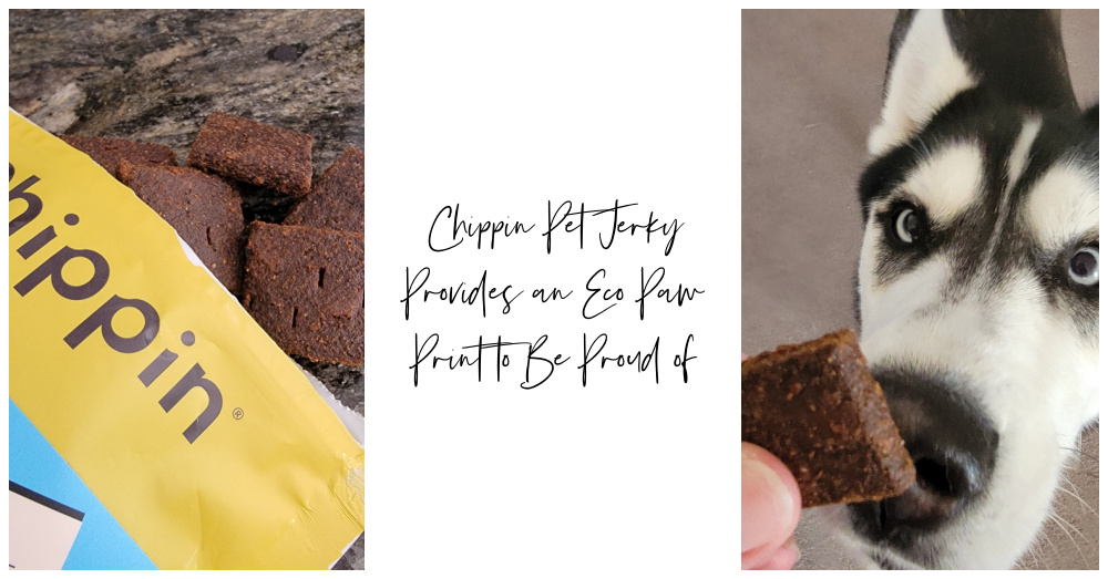 Chippin Pet Jerky Provides an Eco Paw Print to Be Proud of