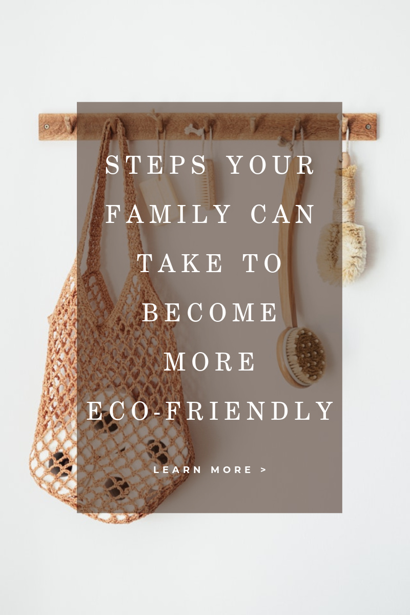 Steps Your Family Can Take to Become More Eco-Friendly